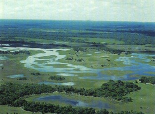 Área inundada na planície do Pantanal sul-mato-grossense